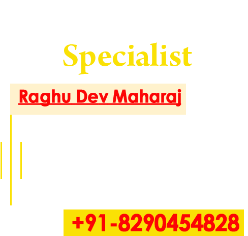 Astrologer Raghu Dev Maharaj